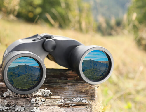 Preparing for Change with Flexibility and Foresight: Planning for Life Transitions